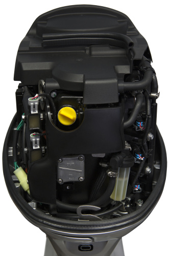 Лодочный мотор Seanovo SNEF 40 FEL-T EFI